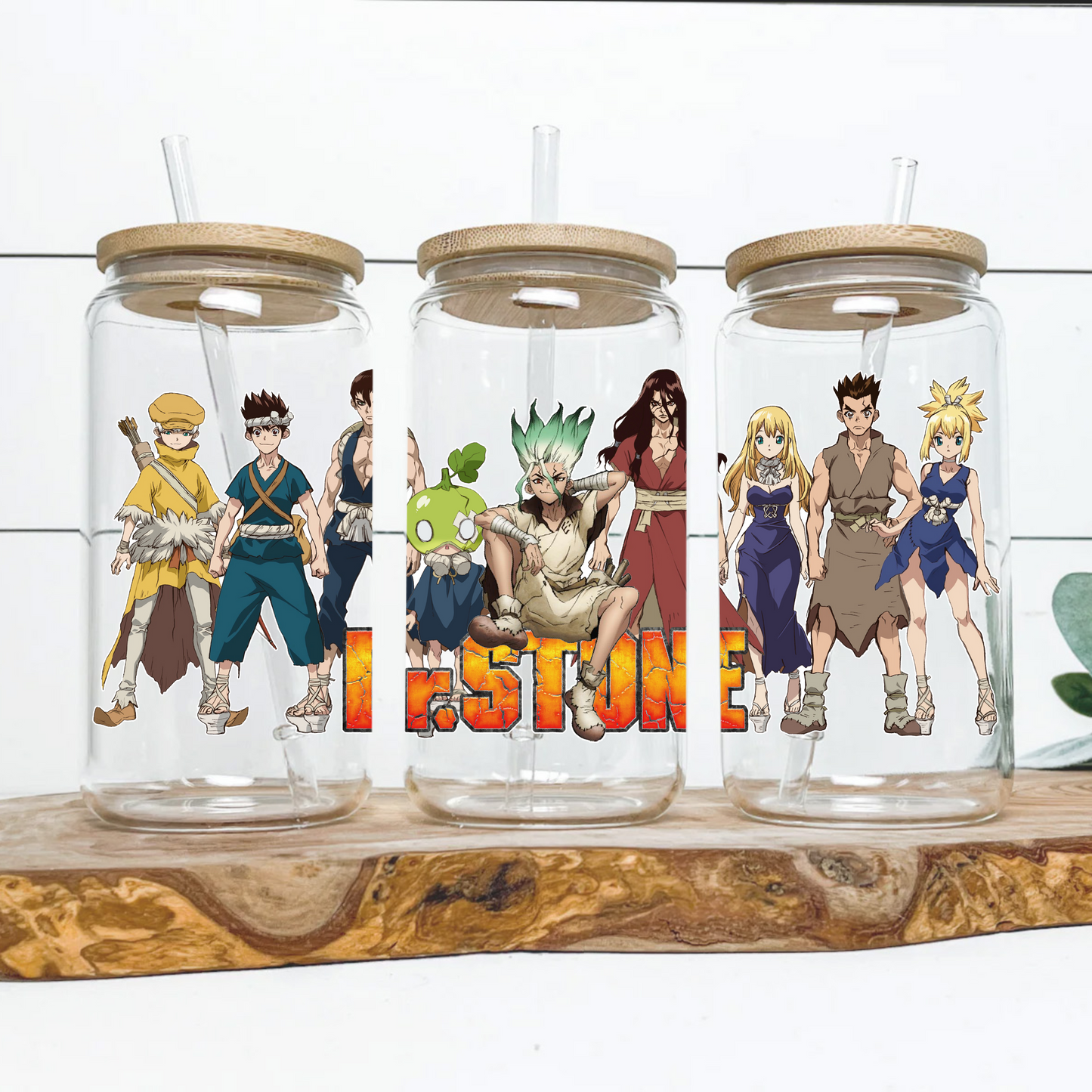 Dr. Stone Anime 16oz Beer Can Glass with Straw and Lid